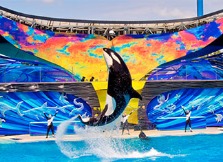 SeaWorld Parque SeaWorld
